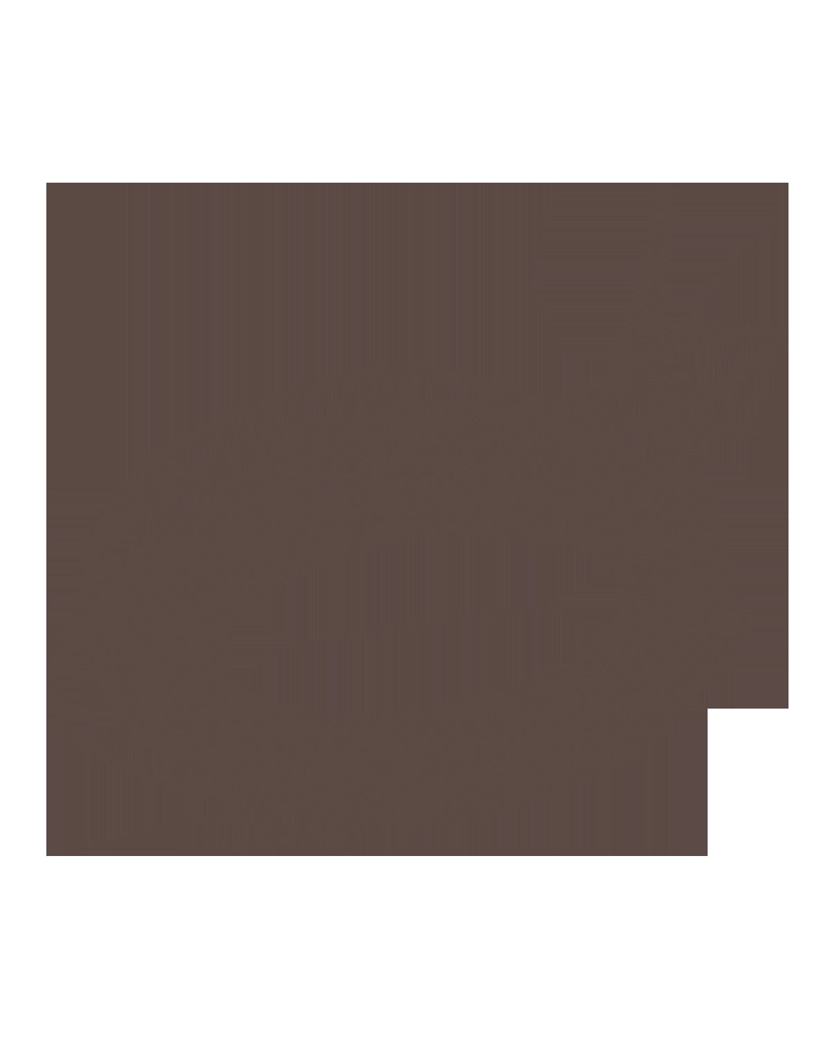 Brow MVP Ultra Fine Brow Pencil & Styler — Black-Brown
