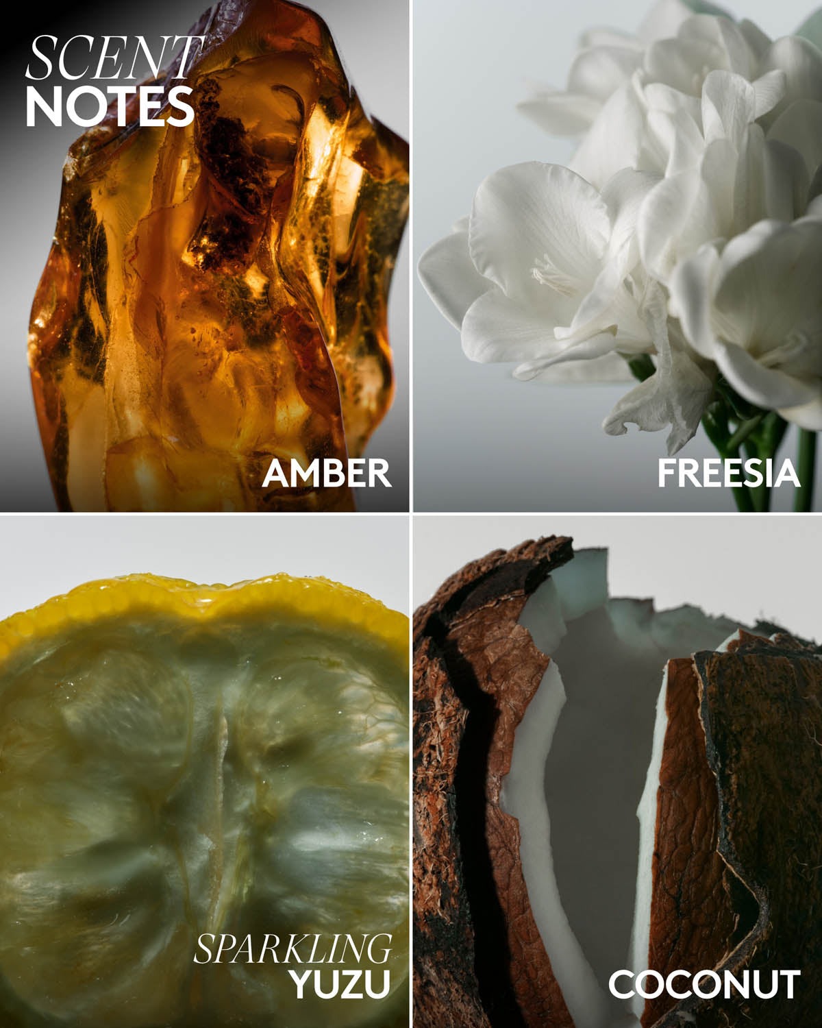 Butta Drop Hydrating Body Milk — Amber Bouquet